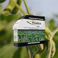Inoculante para soja Phoebus Soja - Agro Advance Technology