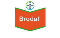 Herbicida Brodal ® Diflufenican - Bayer