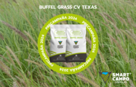 Buffel Grass Smart Campo