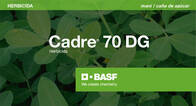 Herbicida Cadre ® 70 Imazapic - BASF