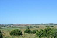 Campo De 22 Has En Pueblo Garzón, Uruguay Ref 4400
