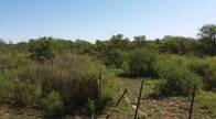 Campo mixto en venta de 51 hectáreas en Franck, Santa Fe
