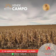 Campo Agrícola De 91 Ha En Condominio. La Pampa