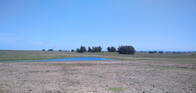 Campo Agrícola Ganadero En Jose Ignacio Ref 6331