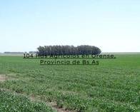 Campo De 104 Has En Orense