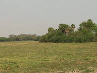 Campo De 45.000 Has. Formosa