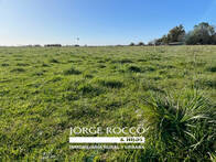 Campo en venta mixto De 9 Hectáreas ubicado En Gomez Brandsen
