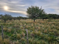 Campo mixto en venta de 680 hectáreas en Unanue, La Pampa