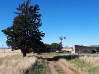 Campo En Venta. Bahia Blanca, Bs.as. 2,7 Has. Mixto