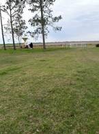 Campo de  900 Hectáreas en Concordia Entre Ríos