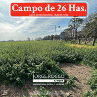 Campo En Venta En Loma Verde. 26 Has Mixto