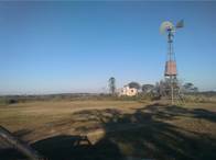 Campo En Venta Forestal 263 Has V. Adela Concordia Er