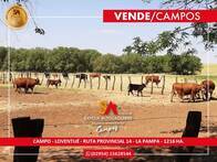 Campo En Venta Ganadero 1216 Has Loventúe La Pampa