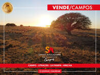 Campo En Venta Ganadero 4962 Has General Acha La Pampa