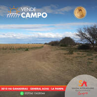 Campo Ganadero De 2010 Ha En General Acha, La Pampa.