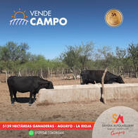 Campo Ganadero De 5.139 Hectáreas En Aguayo, La Rioja