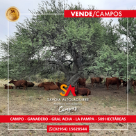 Campo Ganadero De 509 Has En General Acha, La Pampa