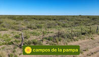 La Pampa - Venta Campo Ganadero 15.000 Ha Limay Mahuida