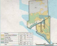 Campo Mixto 4168 Hect. San Luis Del Palmar Corrientes.