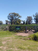 Campo Mixto En Venta 134 Has, Los Indios Buenos Aires