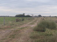 Campo Mixto Entre Cintra Y Chilibroste - 216 Hectáreas.