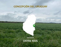 Campo Mixto. Venta. C. Del Uruguay. Entre Ríos. 700 Has