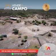 Campo Para Desarrollar Con Riego De 300 Ha. En Mendoza