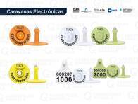 Caravanas Electronicas