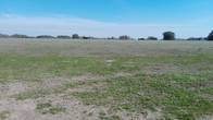 Campo de  230 Hectáreas. Cardales. 