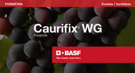 Fungicida Caurifix® WG Oxicloruro de Cobre - BASF