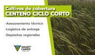 Semillas de Centeno Smart Campo