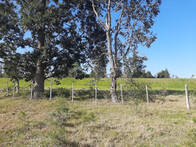 Chacra En Venta En San Carlos, URUGUAY Ref.6821