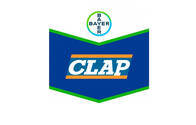 Insecticida Clap ® Fipronil - Bayer