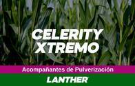 Coadyuvante Celerity Xtremo - Lanther Quimica