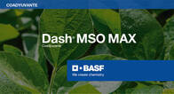 Coadyuvante Dash Mso Max - Basf