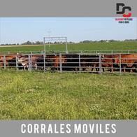 Corral Bovino Con Tranqueras Desmontable - DC Soluciones Metálicas para el Agro 