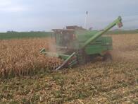 Cosechadora Deutz Optima S Usada 1997