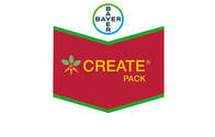 Curasemilla Fungicida Create Pack - Bayer