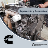 Reparación Y Repuestos De Motores Cummins