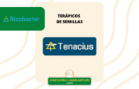 Curasemilla Tenacius