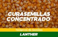 Curasemilla Fungicida LQ Concentrado - Lanther Quimica