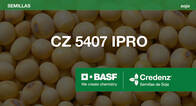 Soja CZ 5407 Intacta RR2 PRO (IPRO) - Credenz 