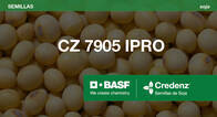 Soja CZ 7905 Intacta RR2 PRO (IPRO) - Credenz