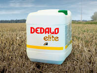 Herbicida Dedalo Elite 2,4-D - Red Surcos