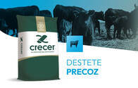 Destete Precoz Crecer