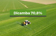 Herbicida Dicamba 70,8%