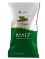 Maíz DK77 - 10 RR2 Dekalb