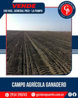 En Venta 100 Has. General Pico, La Pampa