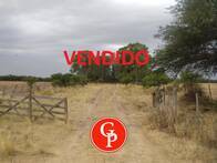 Campo en Venta de 200 Has en Guatrache - La Pampa