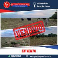 Campo Ganadero En Venta 200 Hectáreas, Hucal La Pampa.